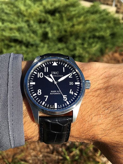 iwc mark xvi automatic